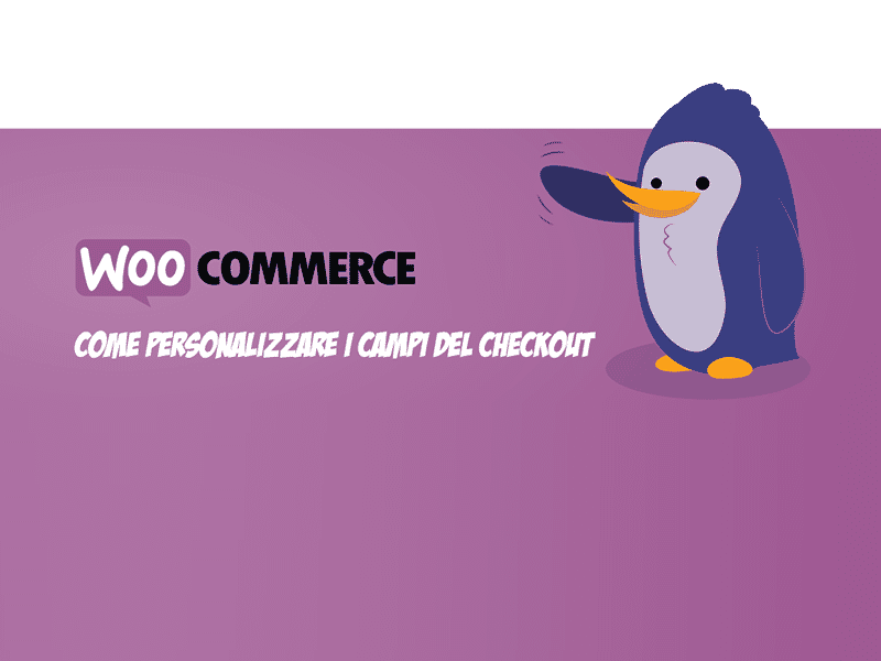 personalizzare-i-campi-del-checkout-woocommerce