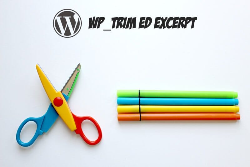 Come stabilire quali caratteri dell’excerpt di un post Wordpress vuoi mostrare.
